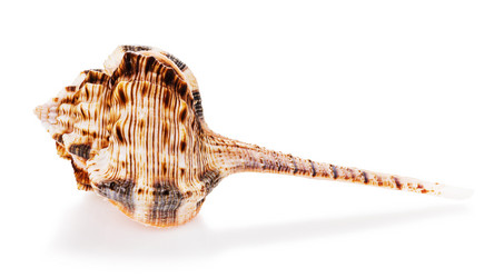 Similar image 21253403