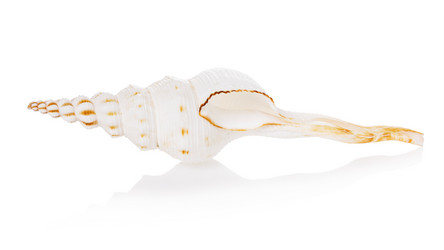 Similar image 21253406