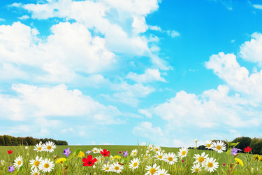 Similar image 21253414