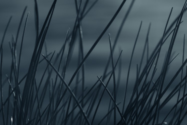 Similar image 21256476