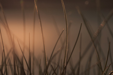 Similar image 21256885