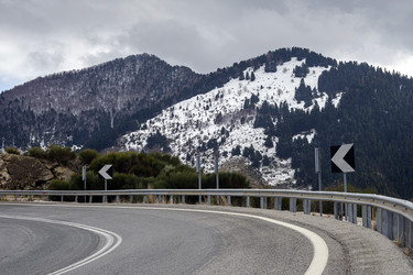 Similar image 21256477