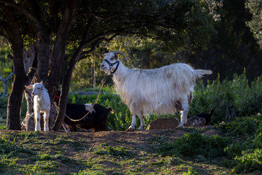 Similar image 21250121