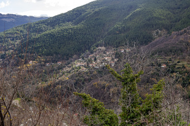 Similar image 21250122