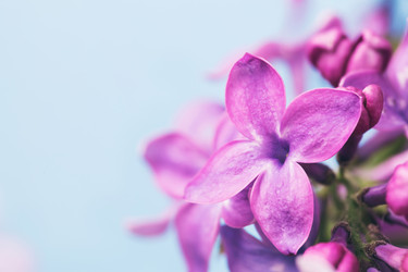 Similar image 21253456