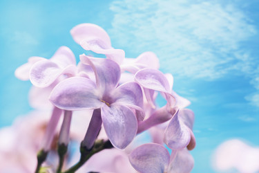 Similar image 21253461