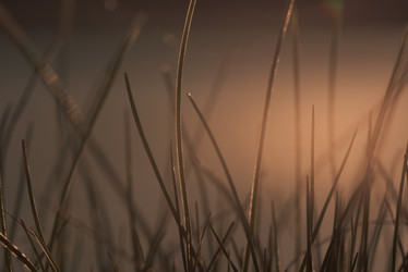 Similar image 21256498