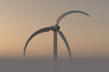 Similar image 21256499