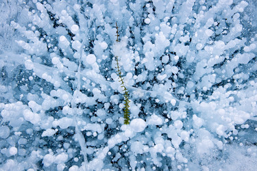 Similar image 21257676