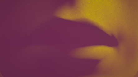 Similar image 21256895