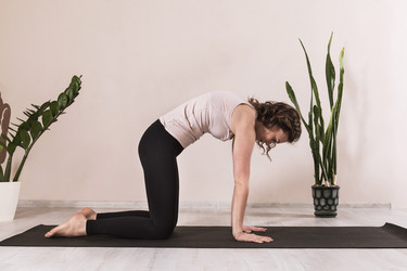 Similar image 21251634