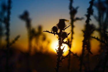 Similar image 21253036