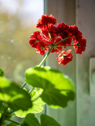 Similar image 21251581