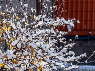 Similar image 21251584