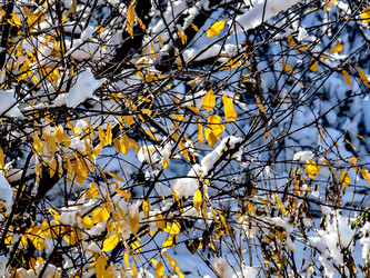 Similar image 21251586