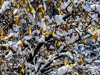 Similar image 21251588