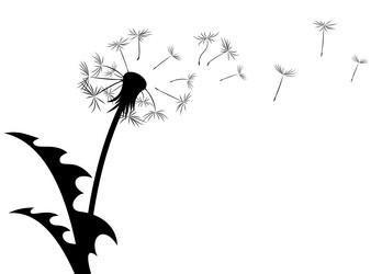 Similar image 21254955