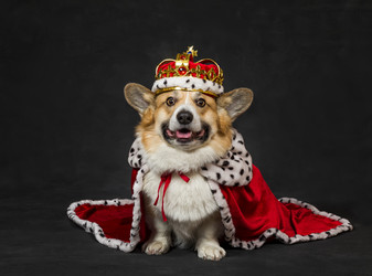 Similar image 21253612