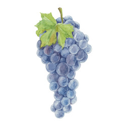 Similar image 21253557