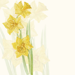 Similar image 21258800