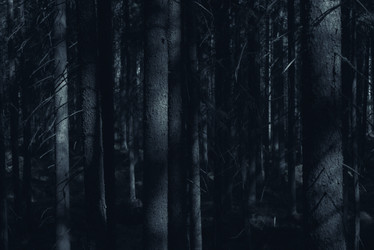 Similar image 21256902