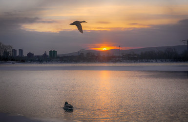 Similar image 21254262