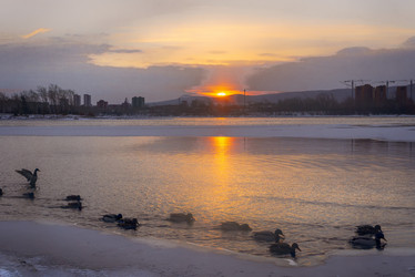 Similar image 21254264