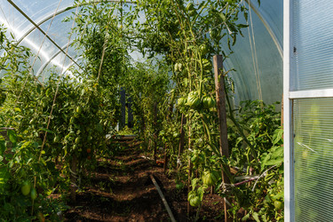 Similar image 21257684