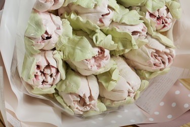 Similar image 21255874