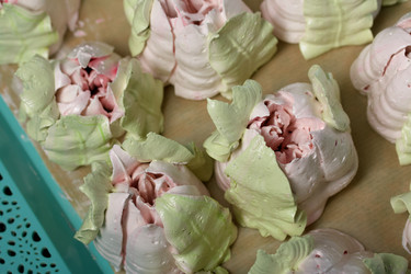 Similar image 21255875