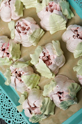 Similar image 21255876