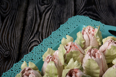 Similar image 21255878