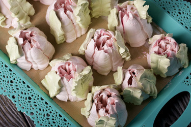 Similar image 21255884