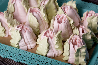 Similar image 21255886