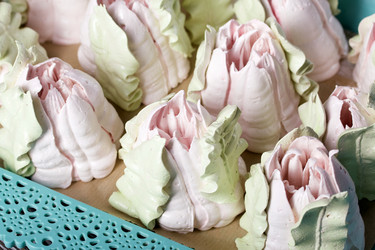 Similar image 21255887