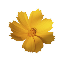 Similar image 21253114