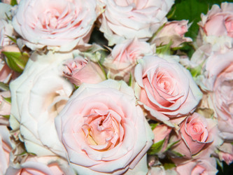 Similar image 21253117