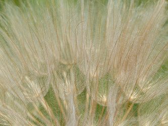 Similar image 21253120