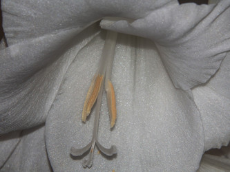 Similar image 21253124