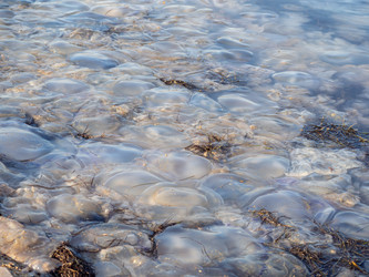 Similar image 21253129