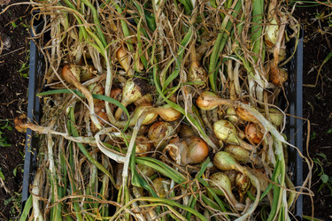 Similar image 21257290