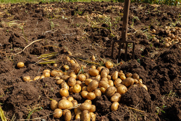 Similar image 21257303