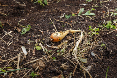 Similar image 21257692