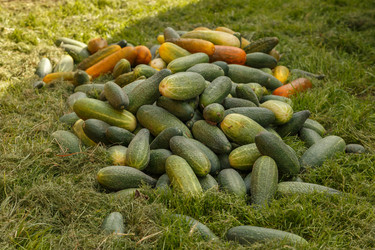 Similar image 21257693