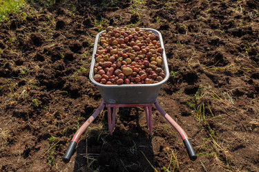 Similar image 21257698