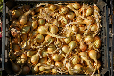 Similar image 21257702