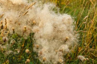 Similar image 21257703