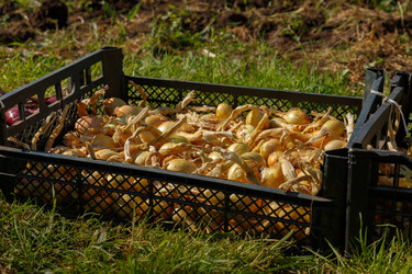 Similar image 21257704