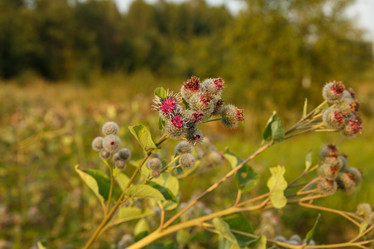 Similar image 21257707