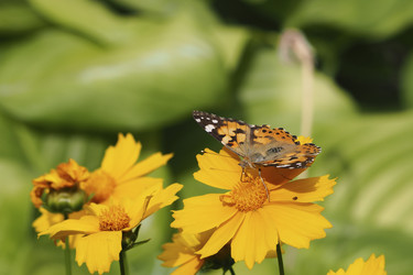 Similar image 21253131